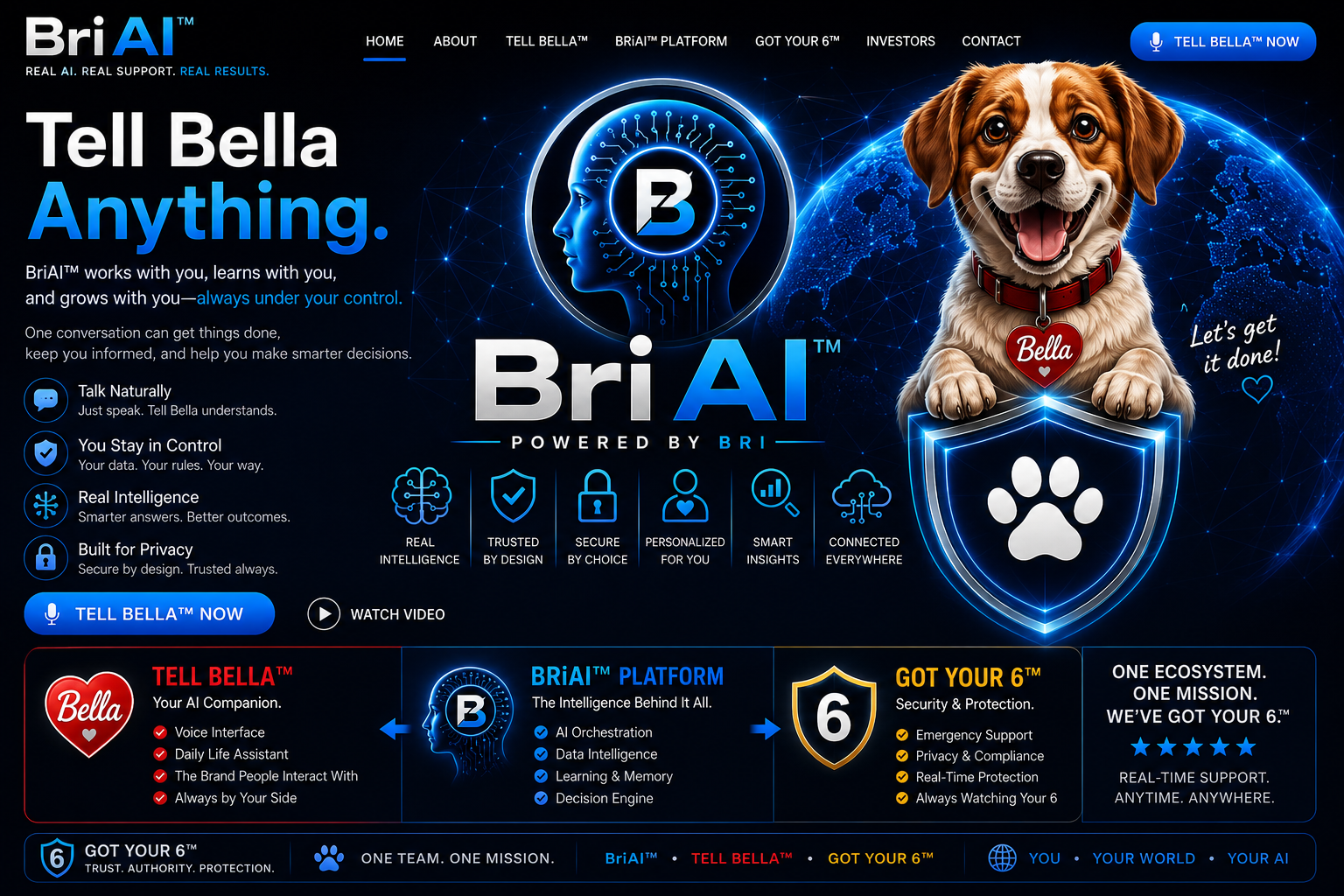 Approved BriAI homepage visual direction