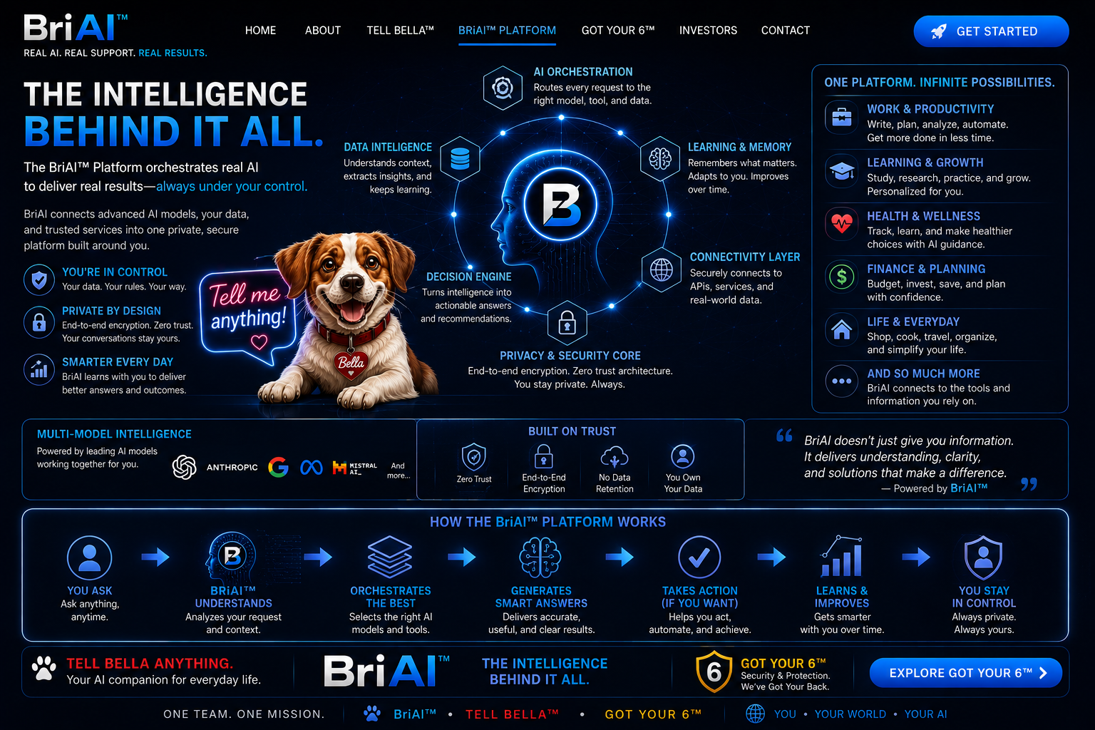 Approved BriAI Platform visual direction